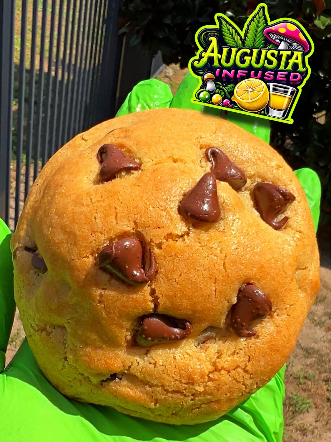 XL Chocolate Chip Brookie