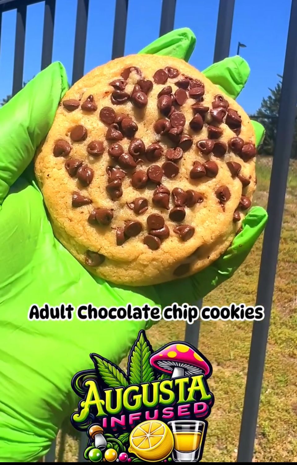 Chocolate Chip Cookie