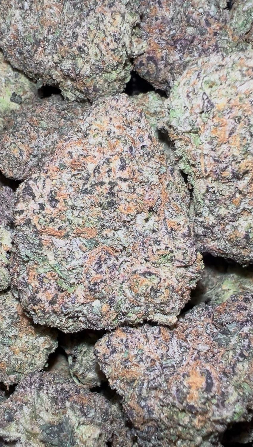 Rainbow Sherbert 🌈