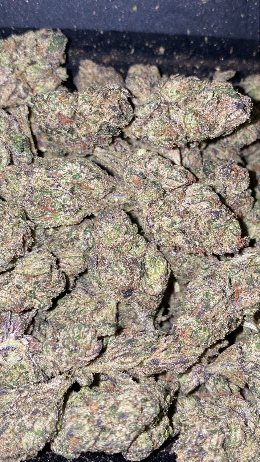 Northern Lights ✨