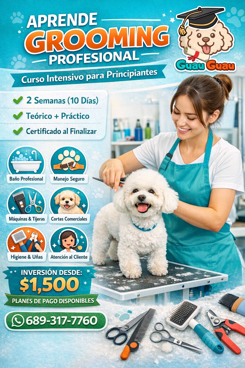 Curso grooming