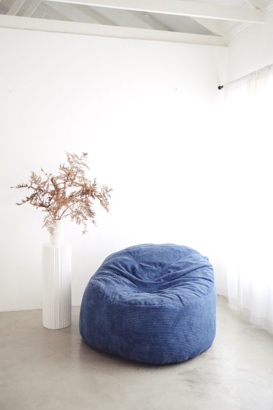 Navy SnugPod