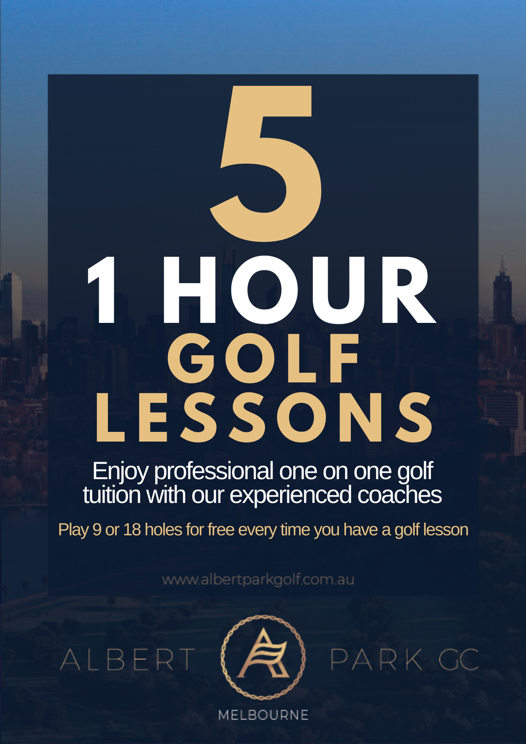 5 x 1 Hour Private Golf Lesson Package (1 hour)
