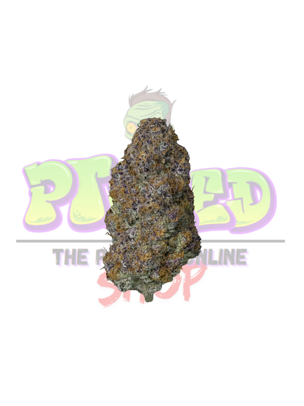 King Bling - Hybrid Premium Cannabis - 19% THC  and 1% CBG