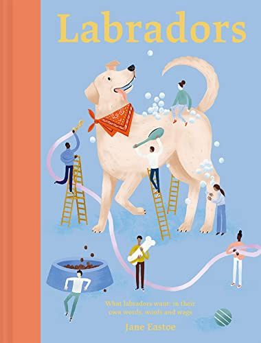 Labradors: What Labradors want: in their own words, woofs and wags