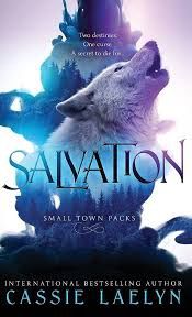 Salvation (Hardback)