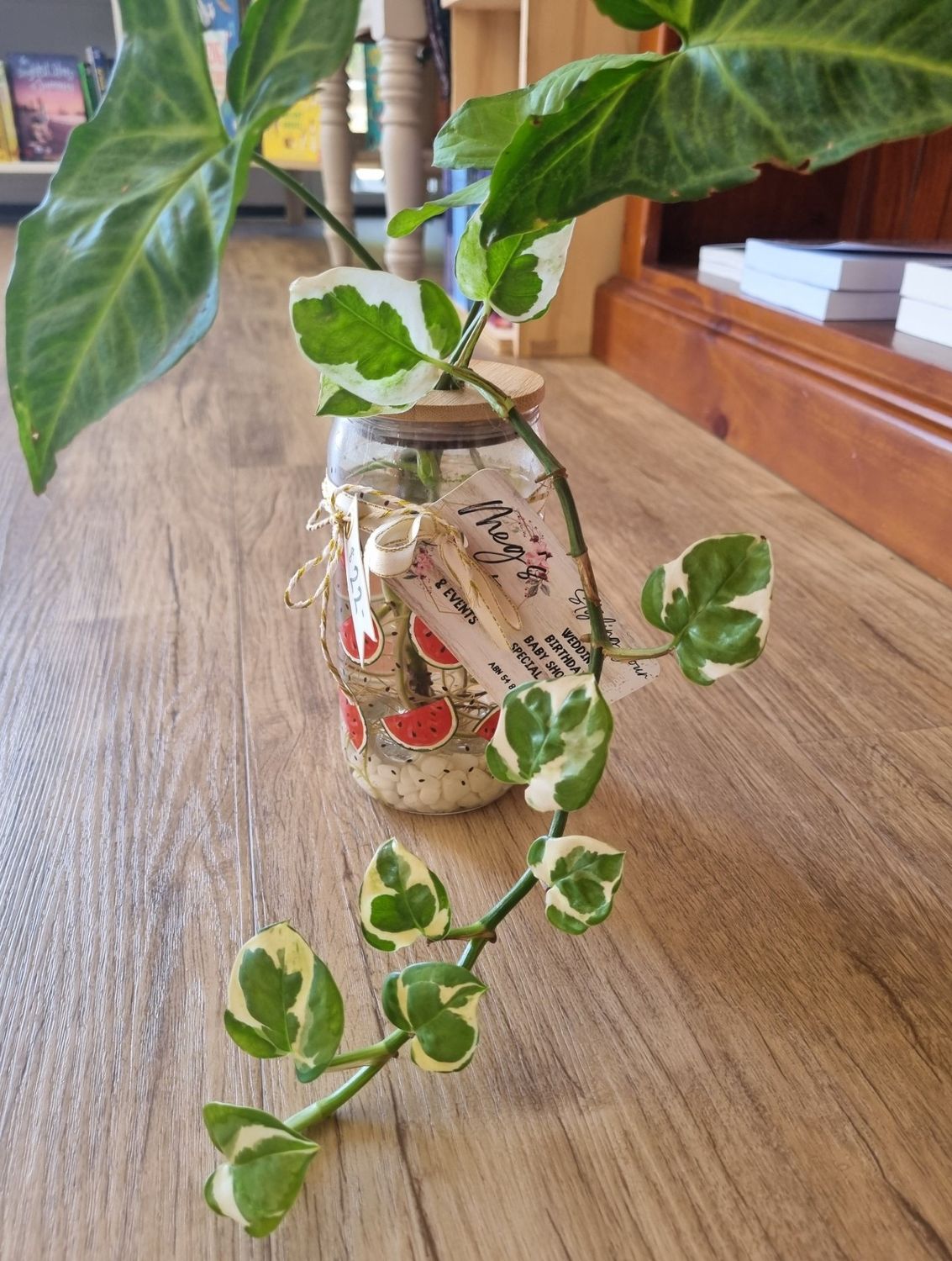 Plant with Lid