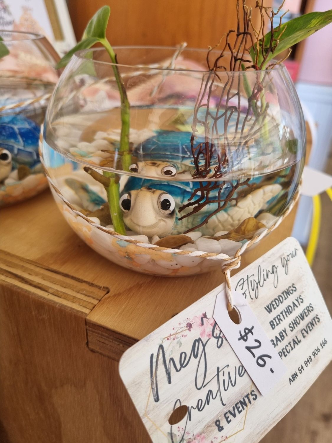 Turtle In Vase