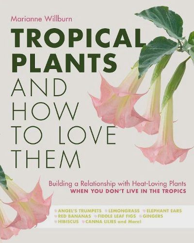 Tropical Plants and How to Love Them!
