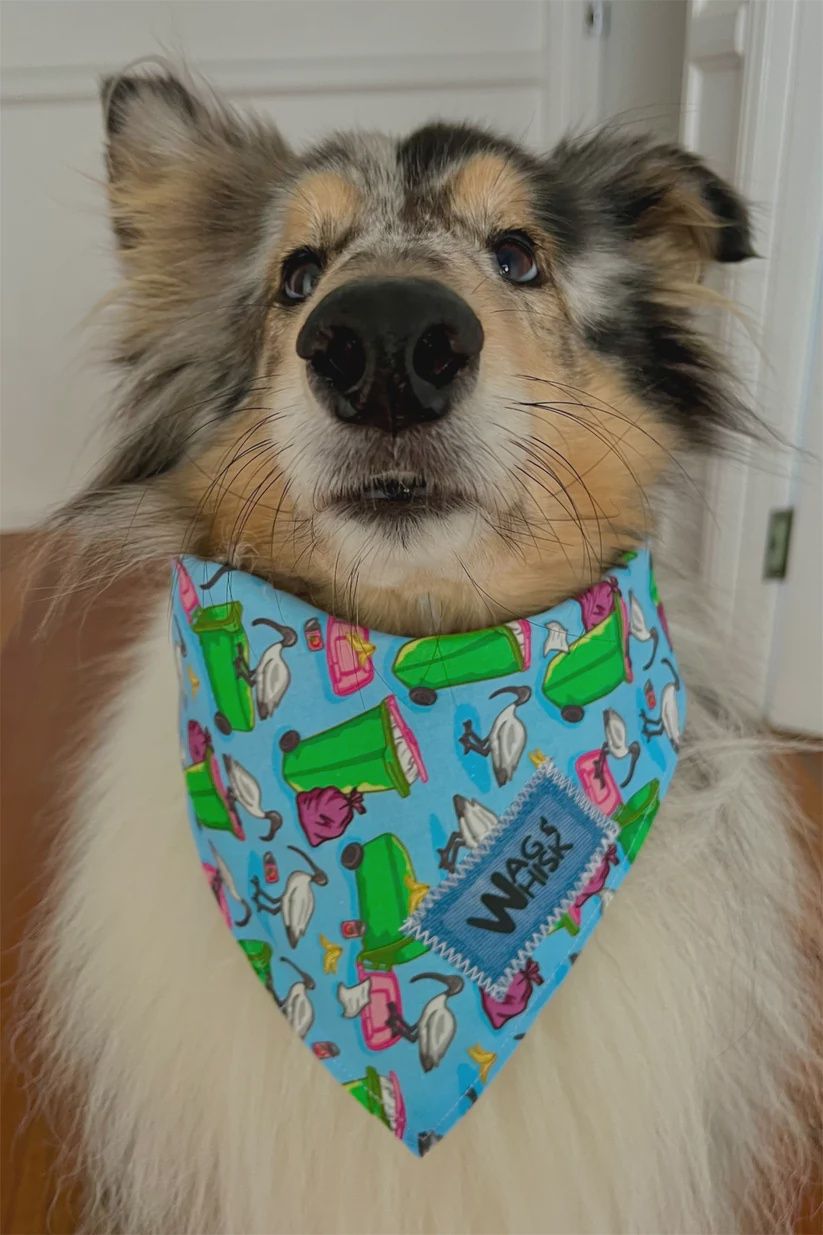 Bin Chicken - 3 snap bandana