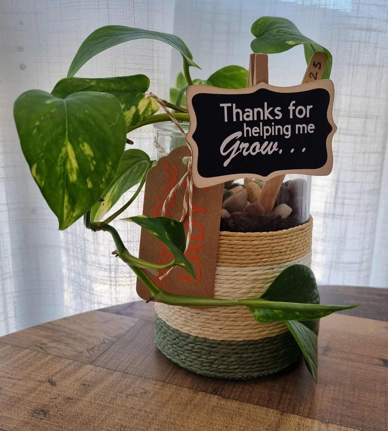 Glass Pot Plant