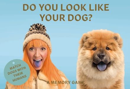 Do You Look Like Your Dog? A Memory Game