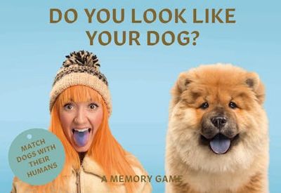 Do You Look Like Your Dog? A Memory Game
