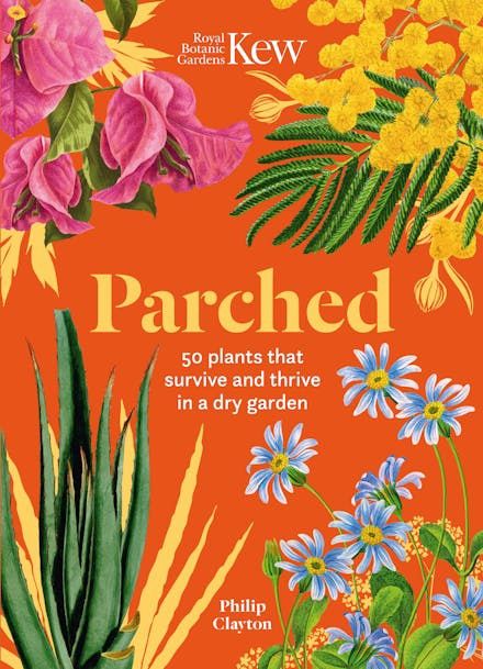Parched: 50 plants that thrive and survive in a dry garden