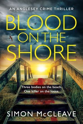 Blood on the Shore (The Anglesey Series Book 3)
