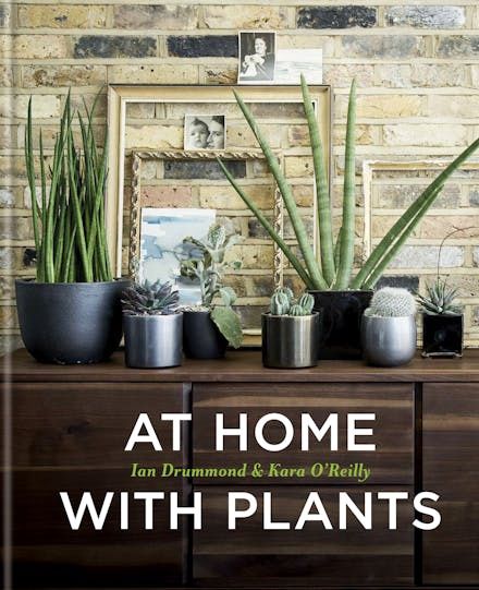 At Home with Plants: Transform Your Home with Plants