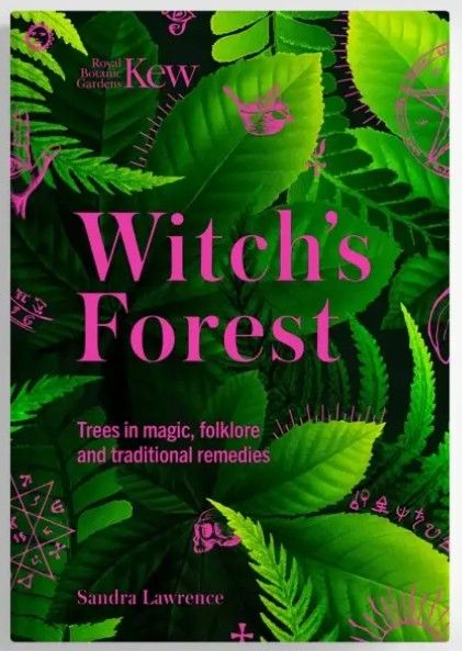 Witch's Forest: Trees in magic folklore and traditional remedies