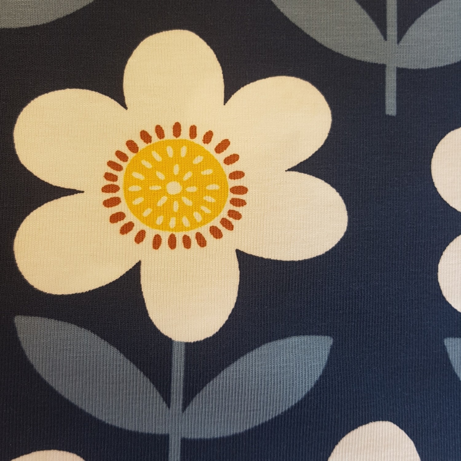Spring 2019 - MARIN FLOWER