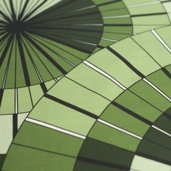 COLORWHEELS green