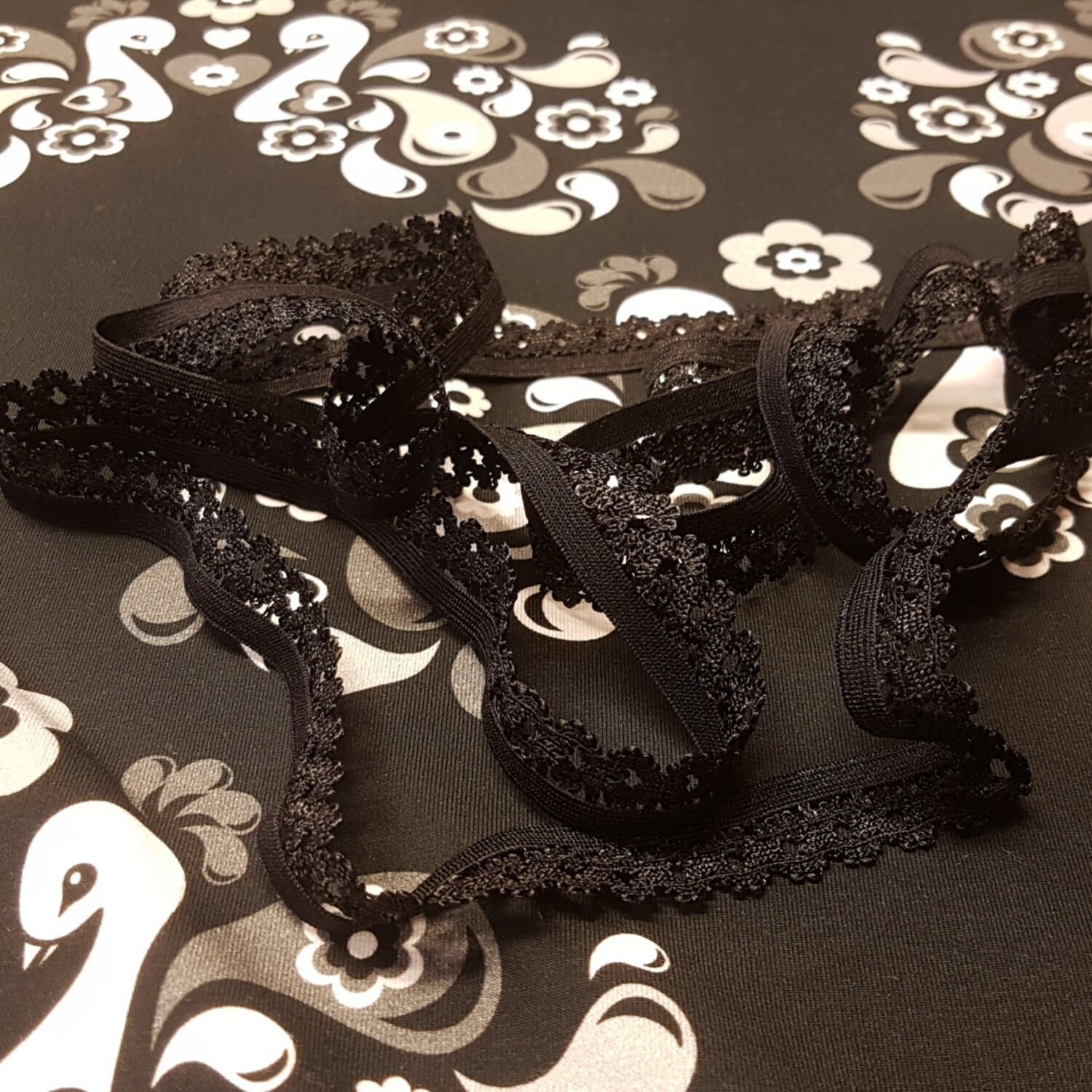 Elastic Lace - Black