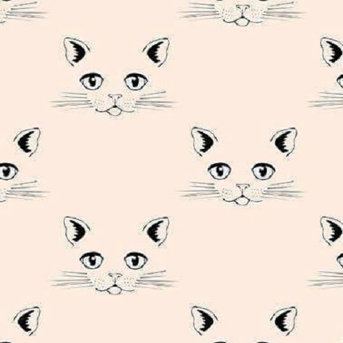 ORGANIC JERSEY, KITTEN
