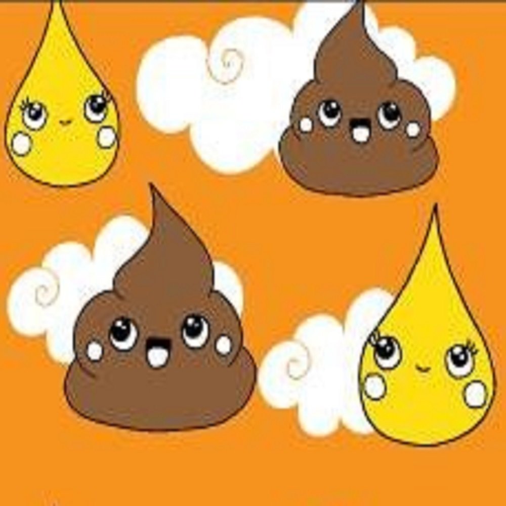 PI AND PO ORANGE