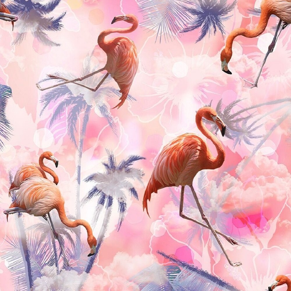 FLAMINGOS