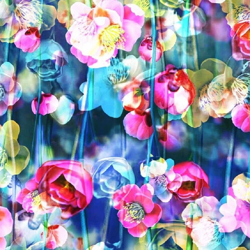 MEADOW