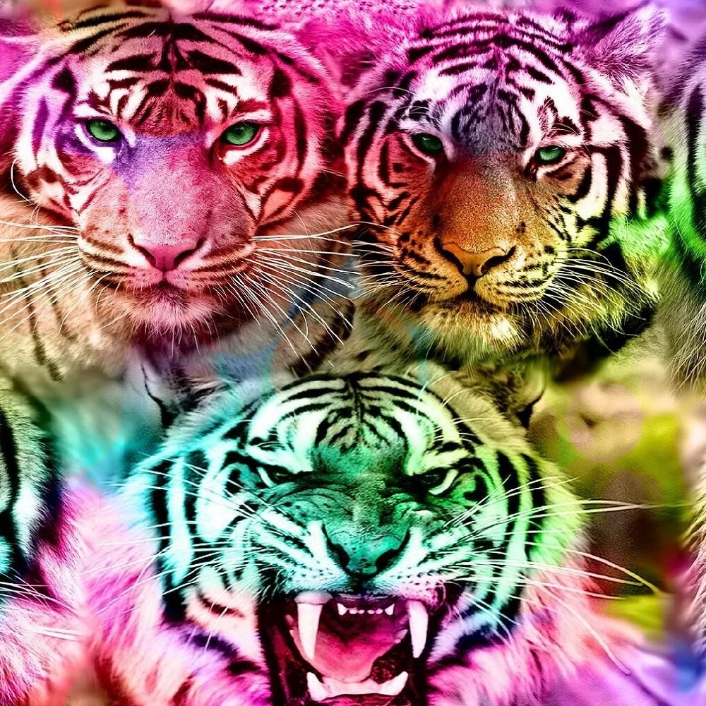 NEON TIGERS