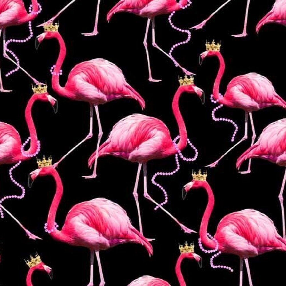 FLAMINGO CHICK