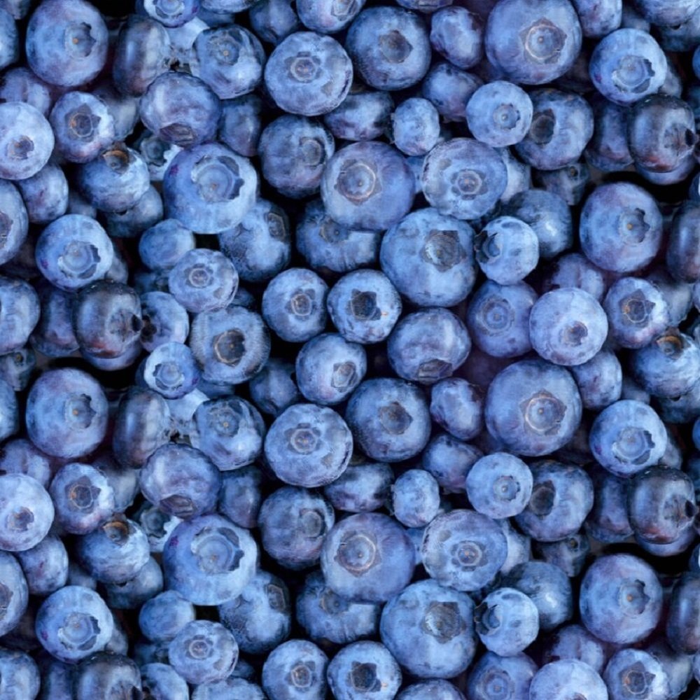 BLUEBERRY