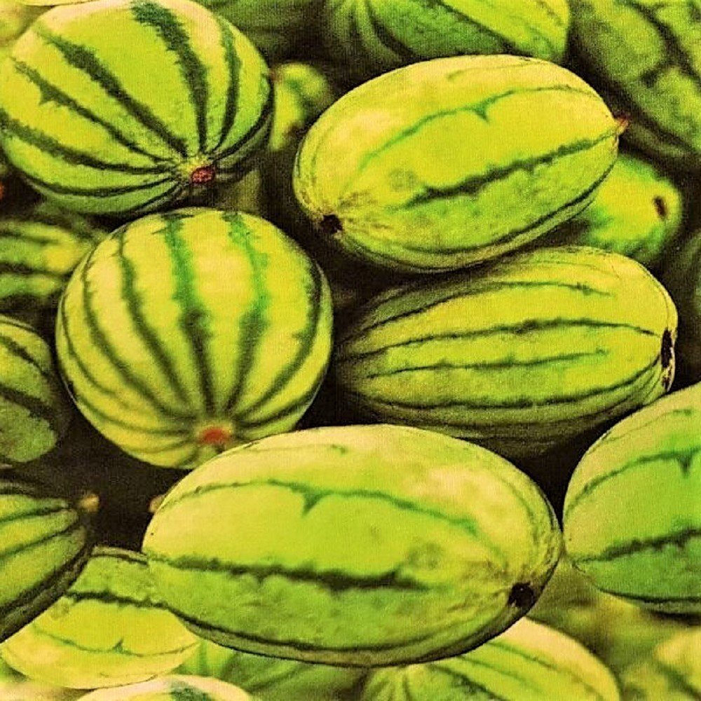 MELON