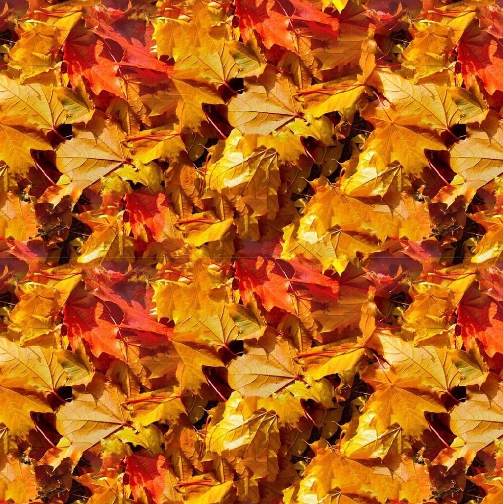 AUTUMN