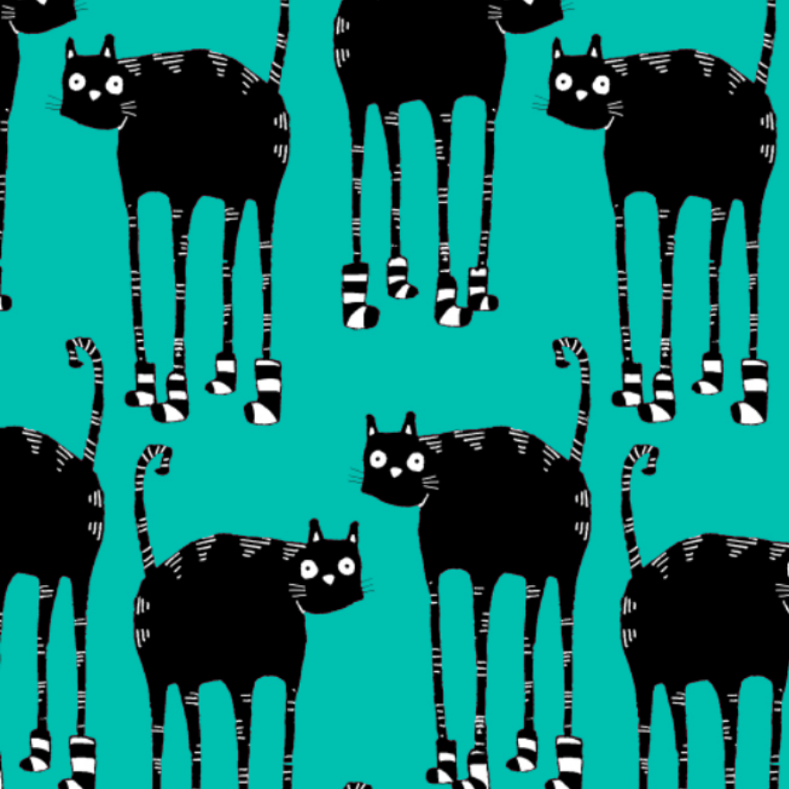 SOCKCAT Turuoise