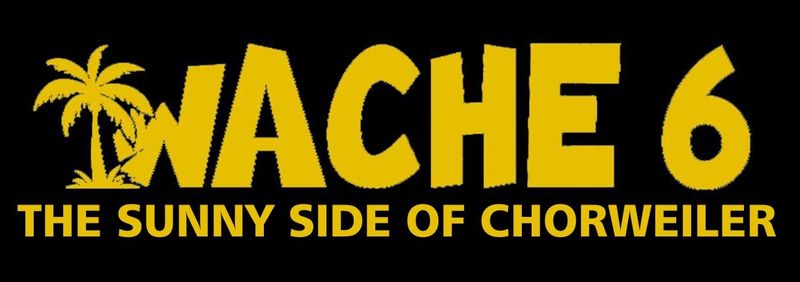 Aufkleber "The sunny side of Chorweiler"