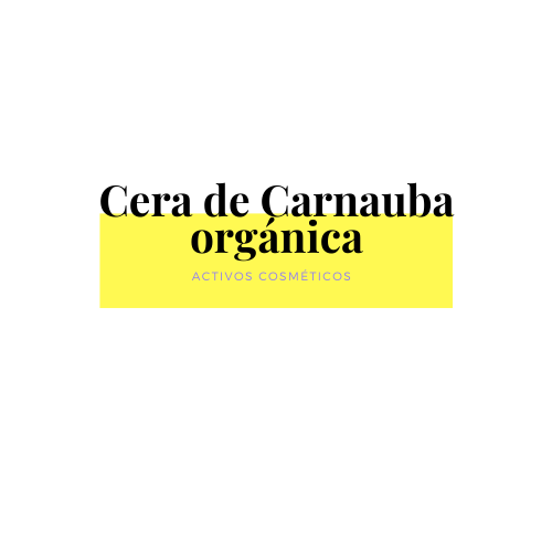Cera de Carnauba ORGÁNICA- GRADO COSMÉTICO