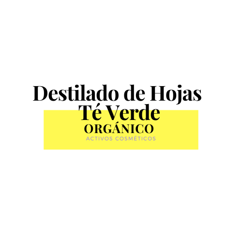 Destilado de Hojas de Té Verde ORGÁNICO x 1Kg