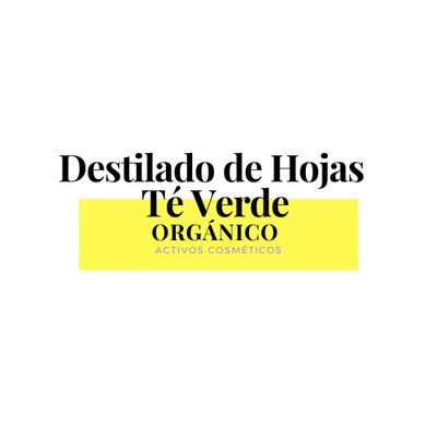 Destilado de Hojas de Té Verde ORGÁNICO x 1Kg