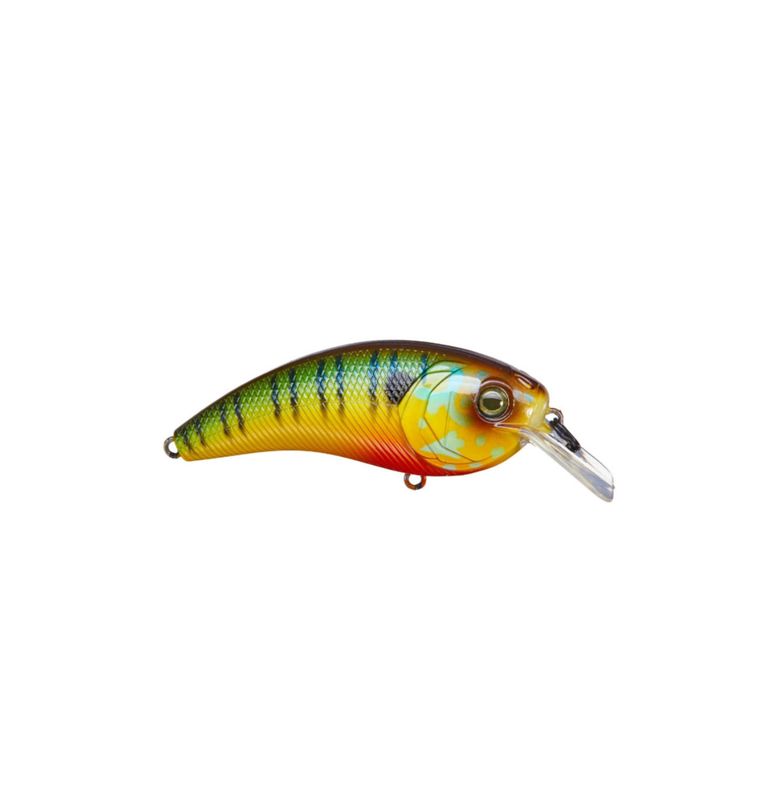 6th Sense Movement L7 - Mud Gill