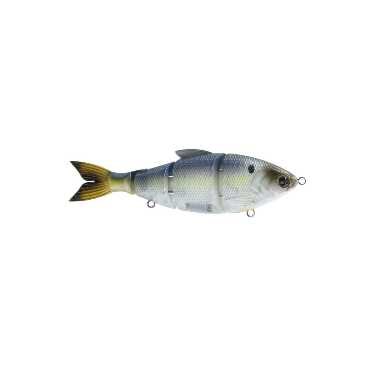 6th Sense Trace 6” SS - Live Shad