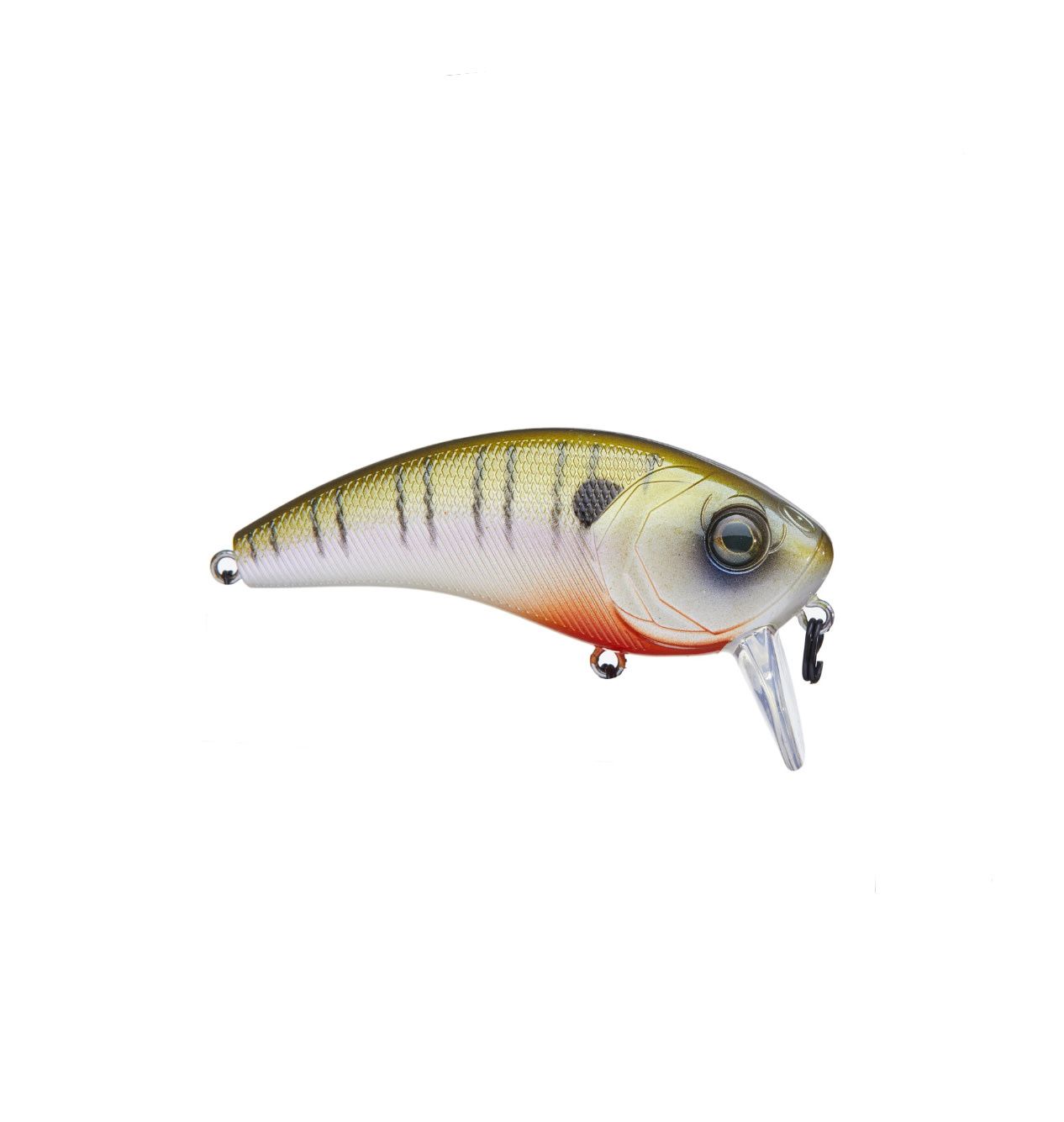 6th Sense Movement 80WK - 4K Bluegill