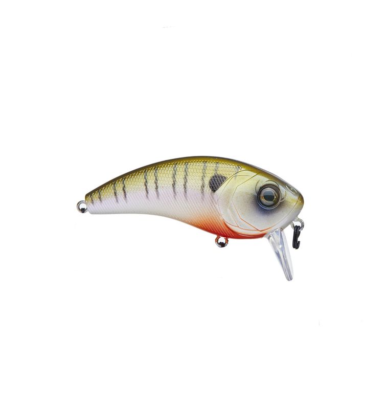 6th Sense Movement 80WK - 4K Bluegill