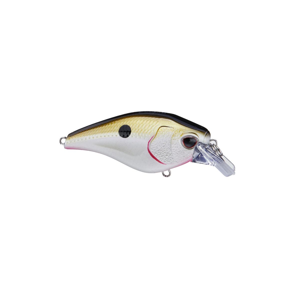 Nomad Design Atlas 55 Squarebill Crankbait - Tennessee Shad