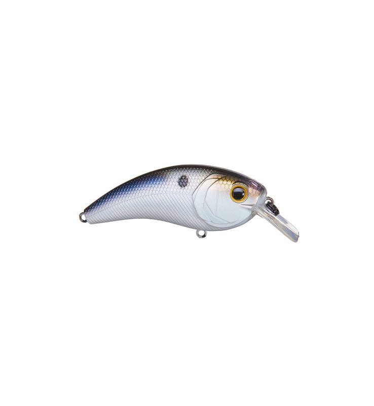 6th Sense Movement L7 - 4K Shad