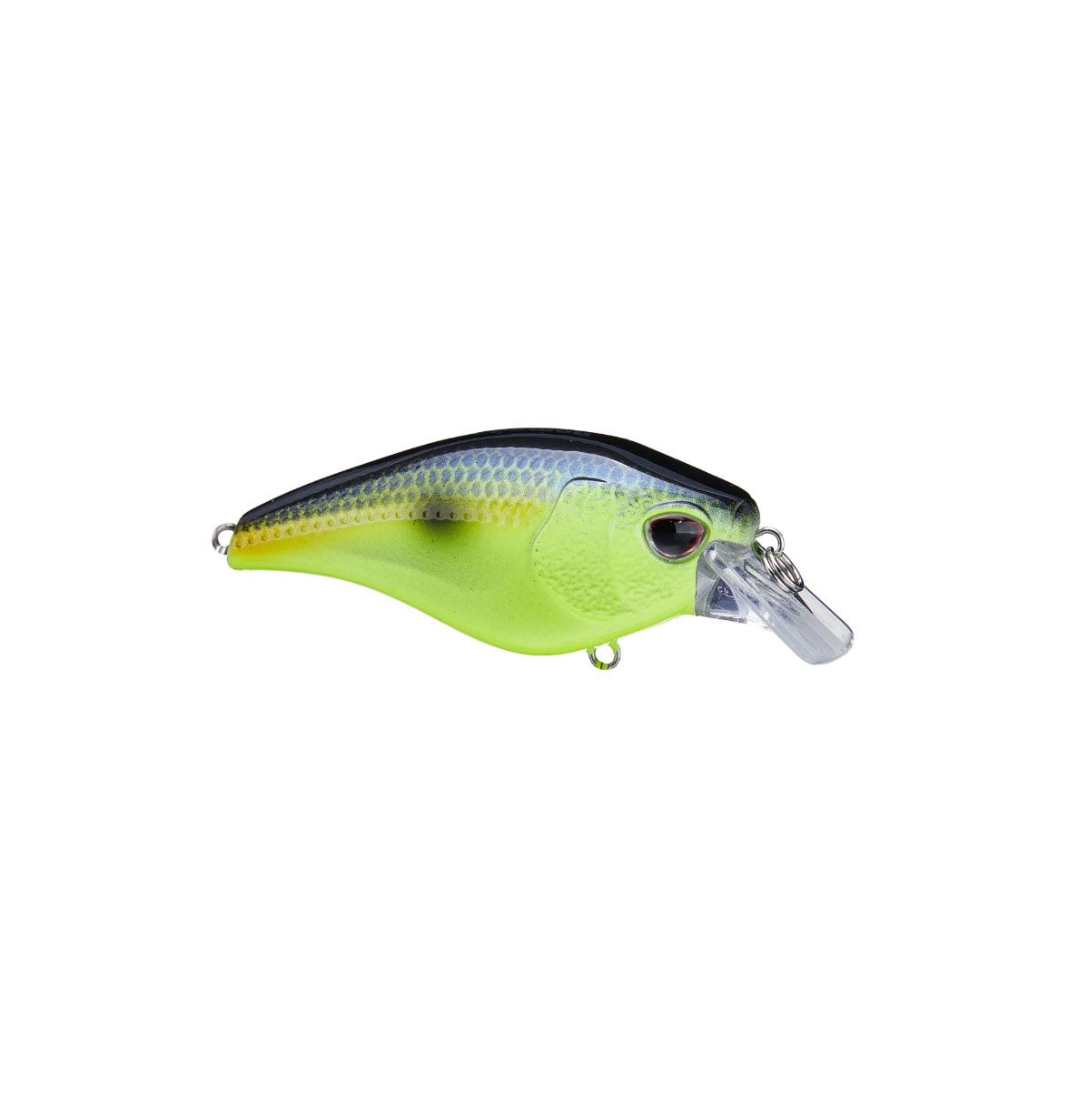Nomad Design Atlas 55 Squarebill Crankbait - Chartreuse Black Back