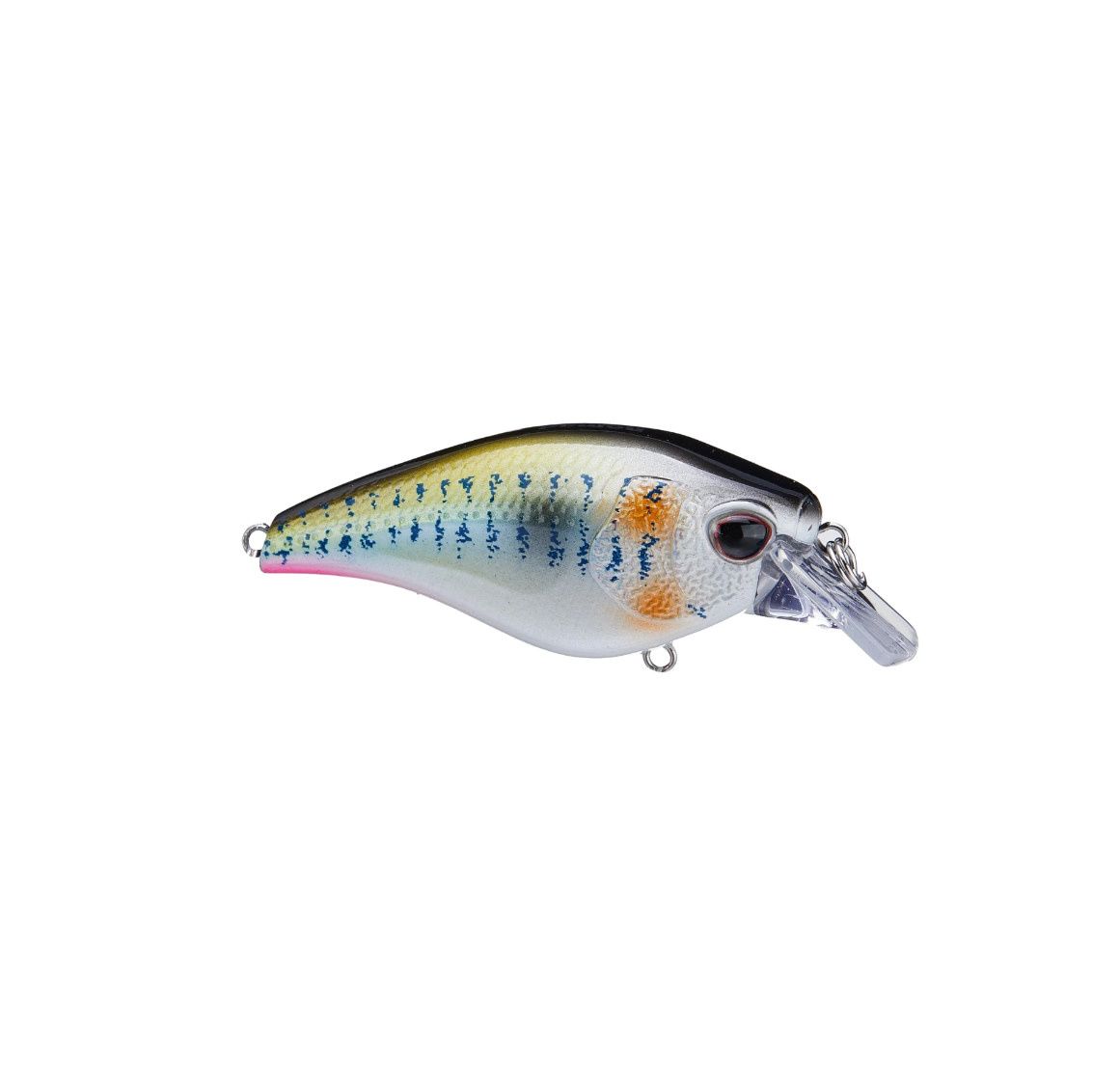 Nomad Design Atlas 70 Squarebill Crankbait - Threadfin Shad