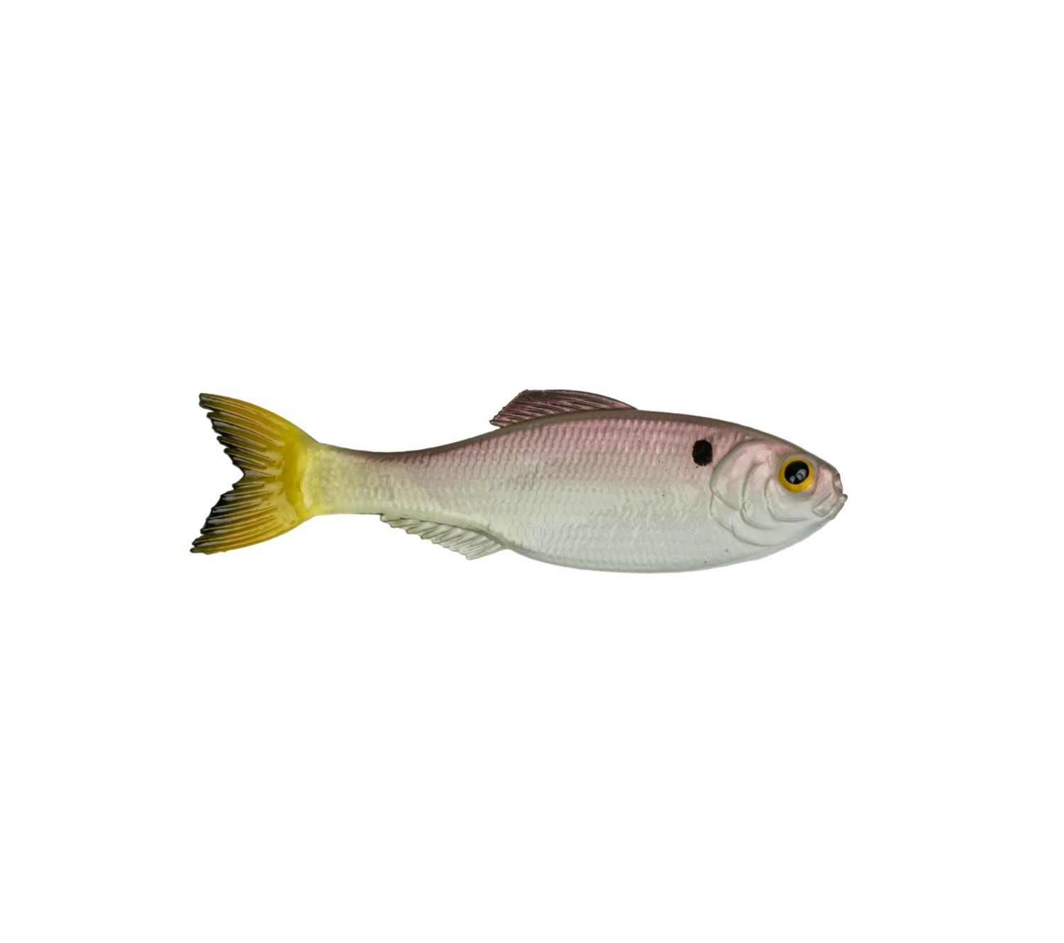 6th Sense Panorama 6.5 - Ghost Pro Shad