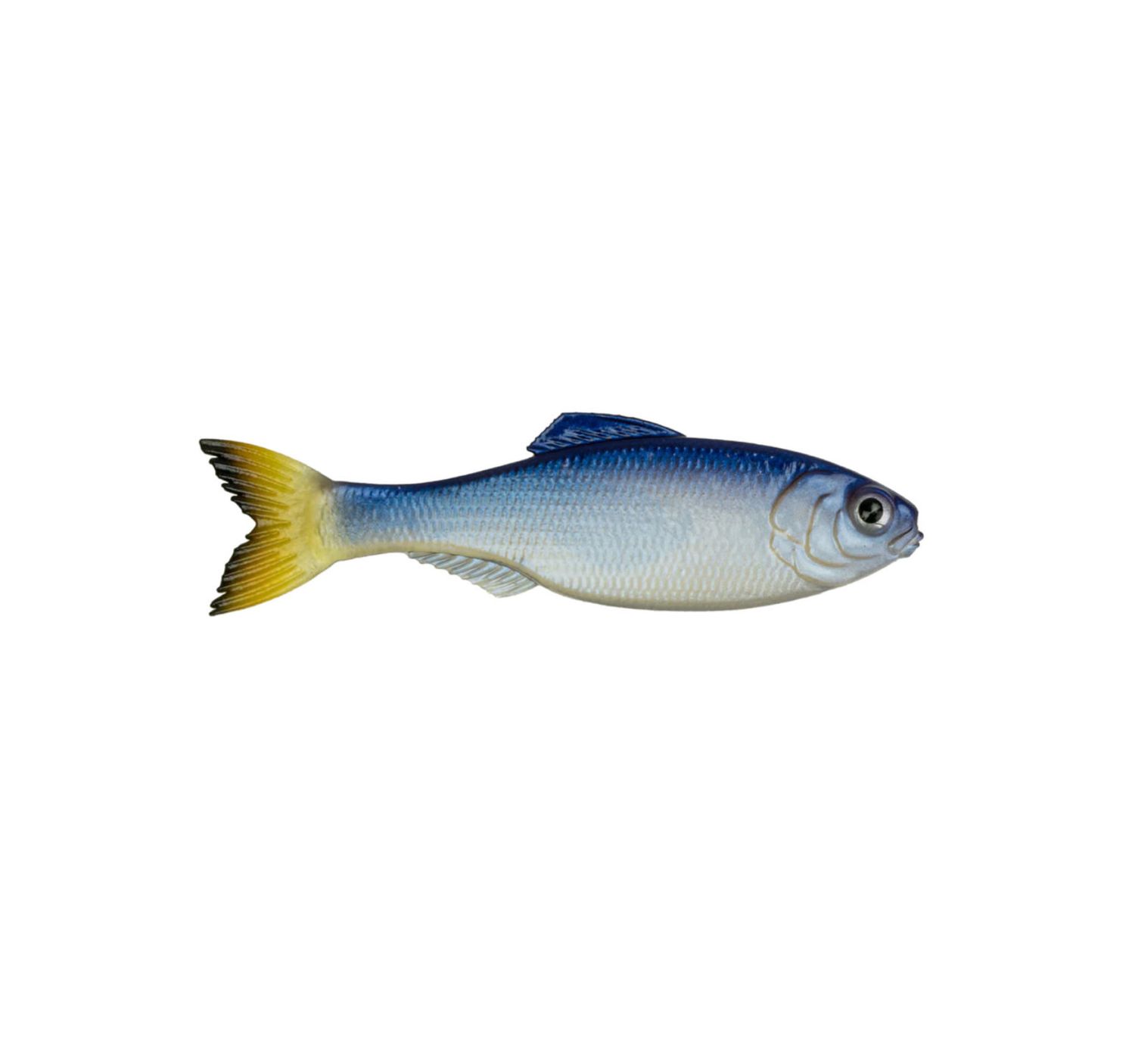 6th Sense Panorama 6.5 - Glass Minnow
