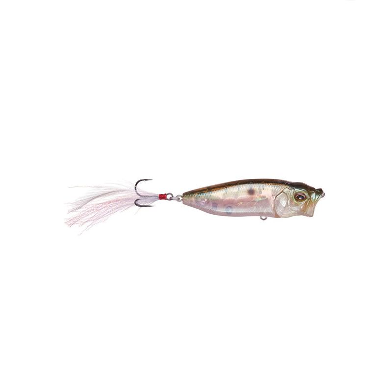 Megabass PopMax - MB Gizzard