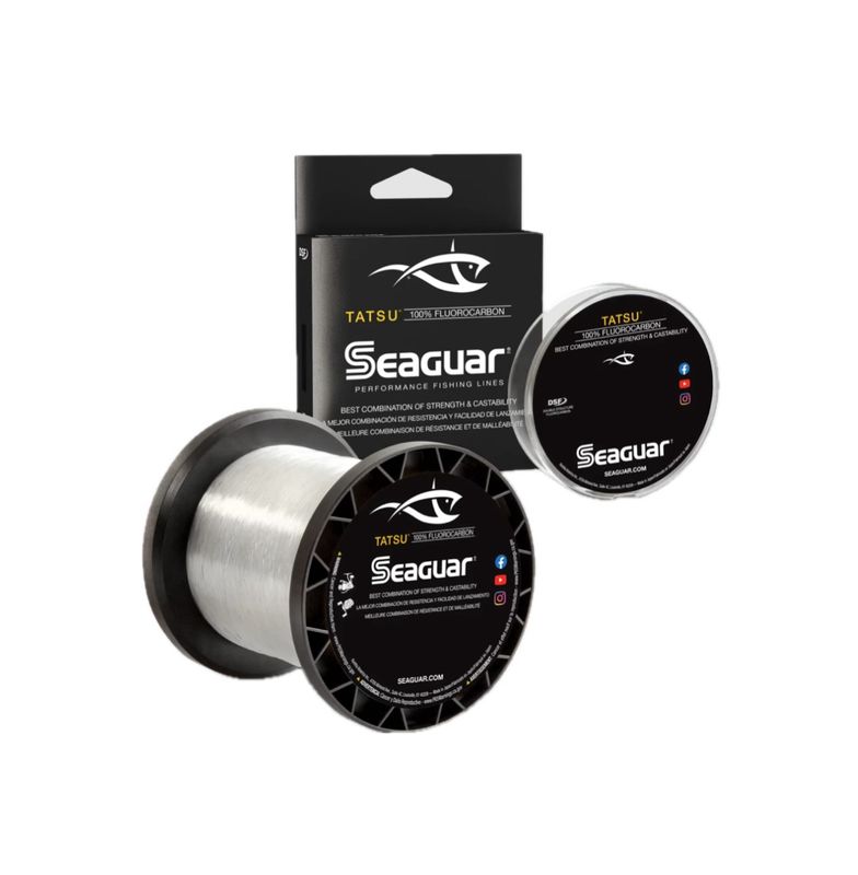 Seaguar Tatsu 10lb 200yds